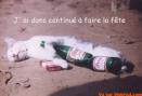 chat ki a tro bu