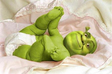 bébé shrek