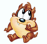 taz bébé
