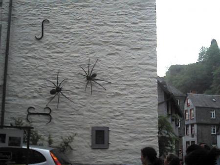 dé araigné    beurk
